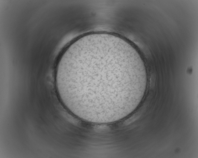 X0000094321454200711241757