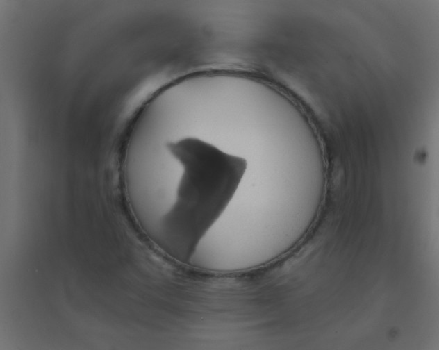 X0000094321455200711241757