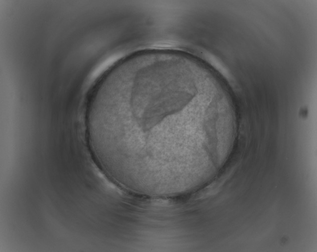 X0000094321456200711241757