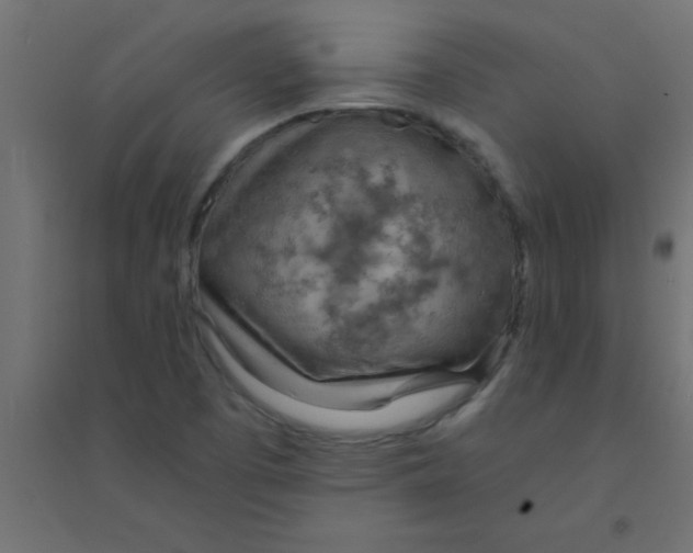 X0000094321457200711241757