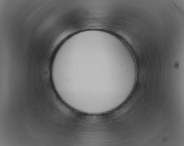 X0000094321458200711241756