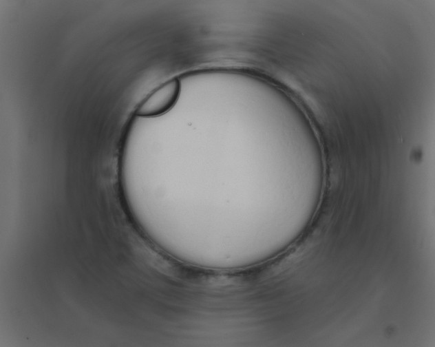 X0000094321459200711241756