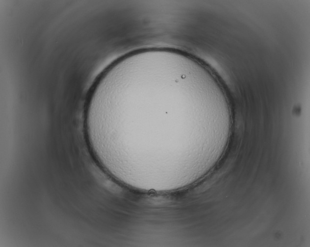 X0000094321460200711241756