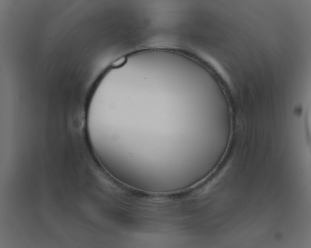 X0000094321461200711241756