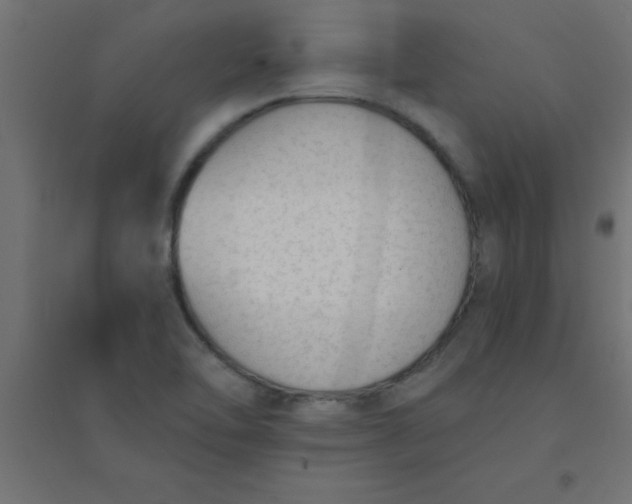 X0000094321462200711241756