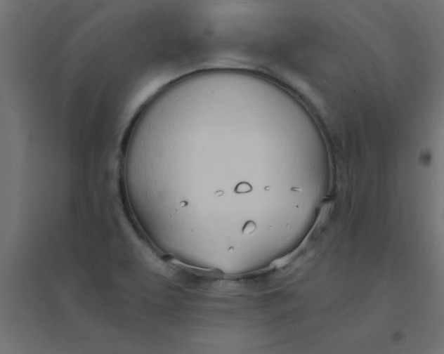 X0000094321463200711241756