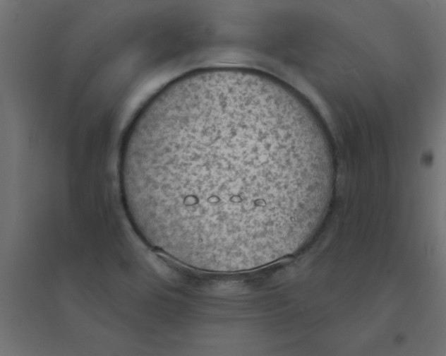X0000094321464200711241756