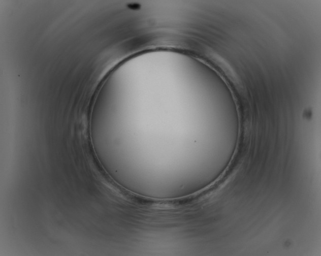 X0000094321465200711241756
