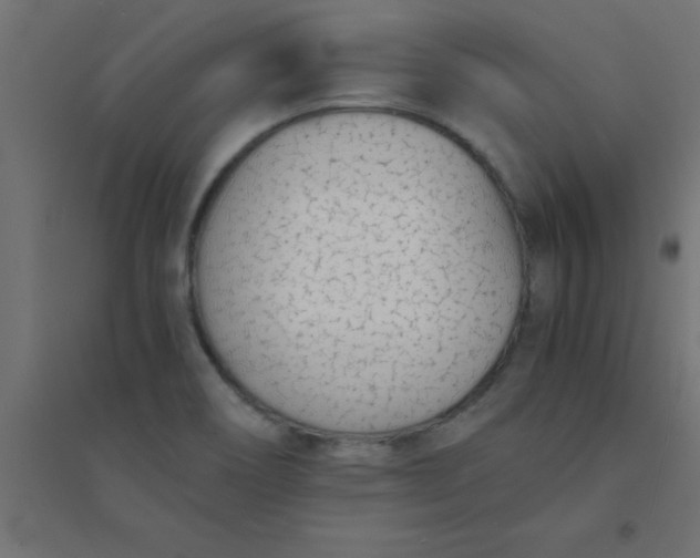 X0000094321466200711241756
