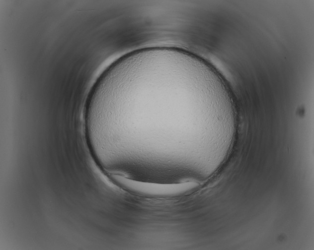 X0000094321468200711241756