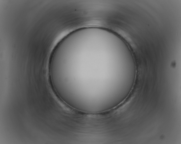 X0000094321469200711241756