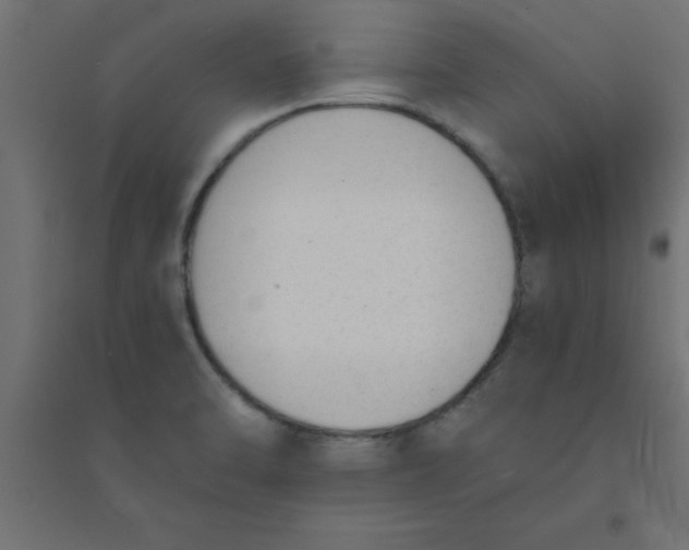 X0000094321470200711241756
