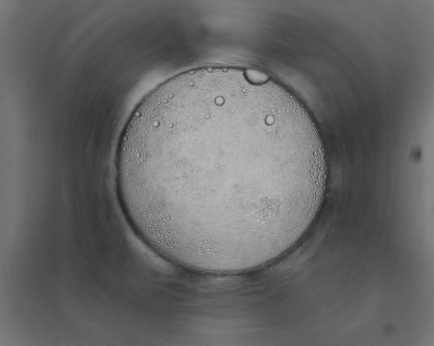 X0000094321471200711241756