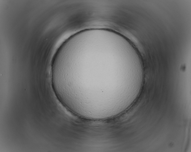 X0000094321472200711241756