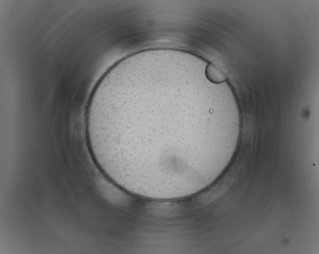 X0000094321474200711241756