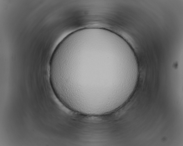 X0000094321476200711241756