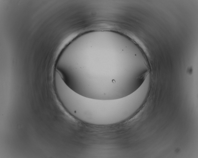 X0000094321477200711241756