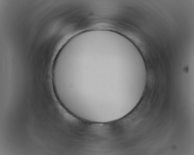 X0000094321478200711241756