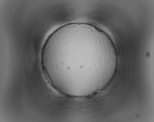 X0000094321480200711241756
