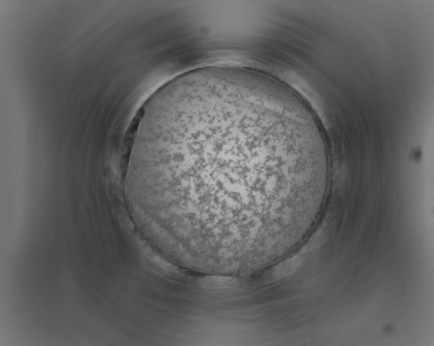 X0000094321481200711241756