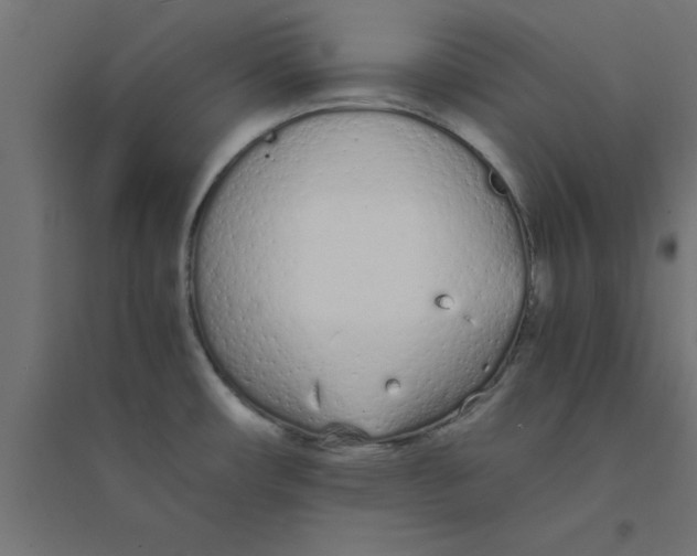 X0000094321482200711241756