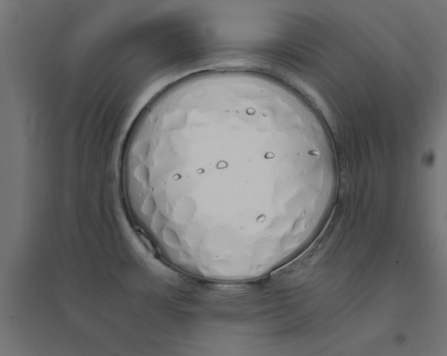 X0000094321483200711241756