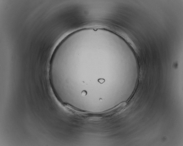X0000094321484200711241756