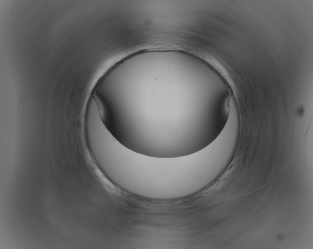 X0000094321485200711241756