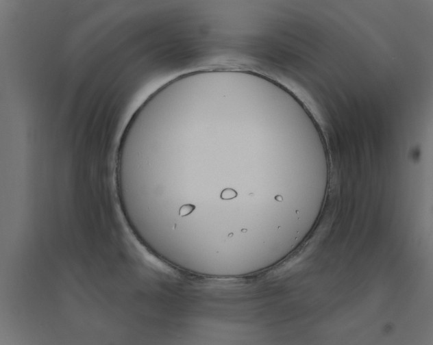 X0000094321486200711241756