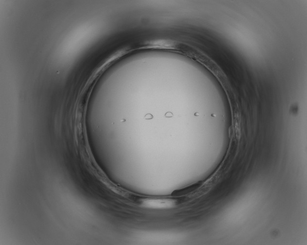 X0000094321487200711241756