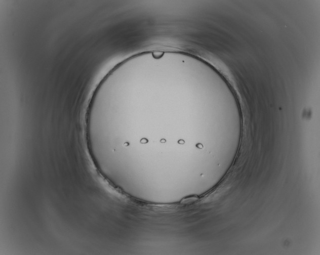 X0000094321488200711241756