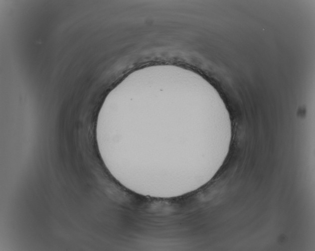 X0000094321489200711241755