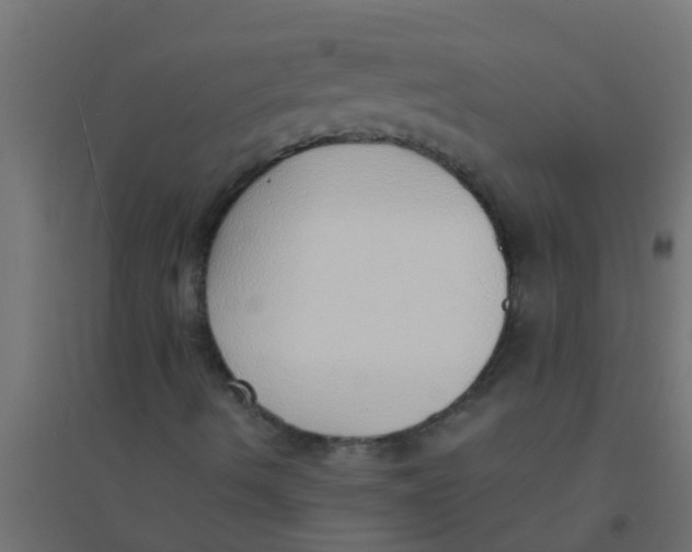 X0000094321490200711241755