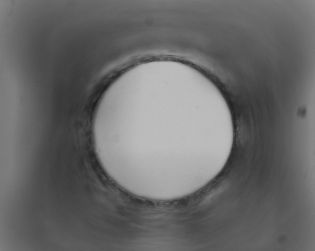 X0000094321494200711241755