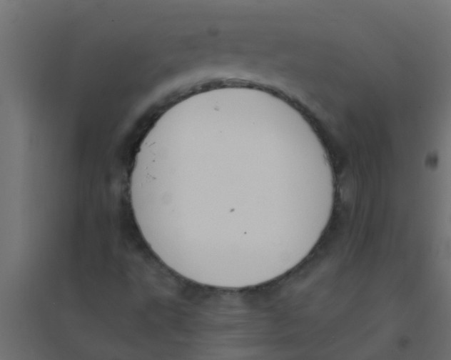 X0000094321495200711241755