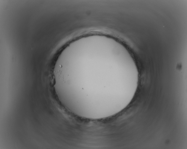 X0000094321496200711241756