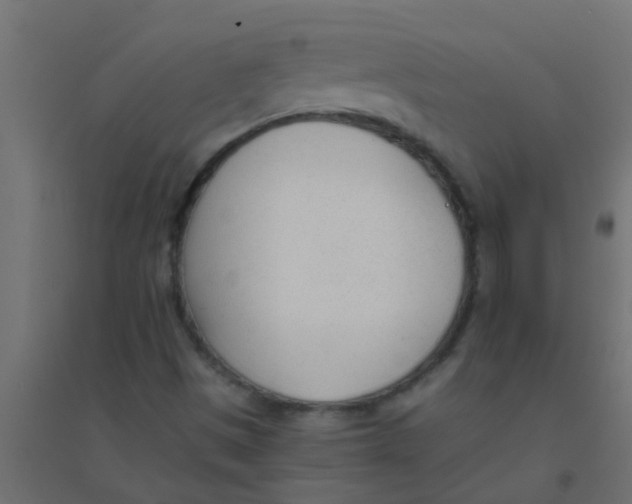 X0000094321497200711241756