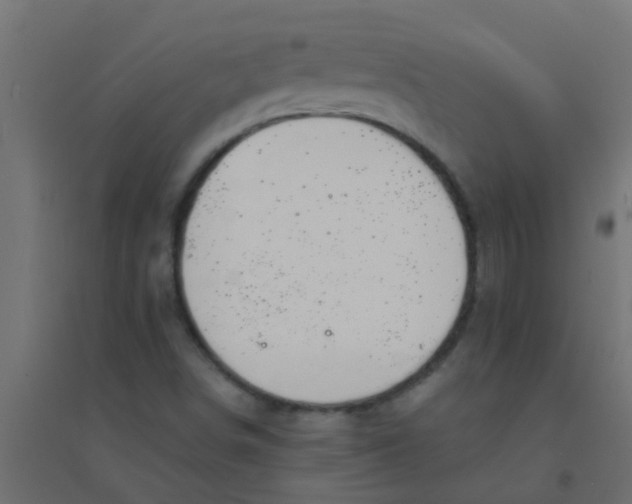 X0000094321498200711241756