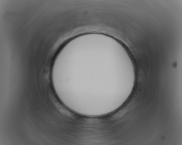 X0000094321499200711241756