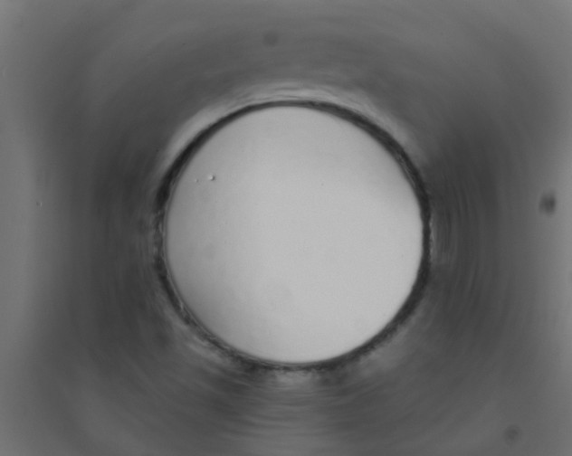 X0000094321501200711241756
