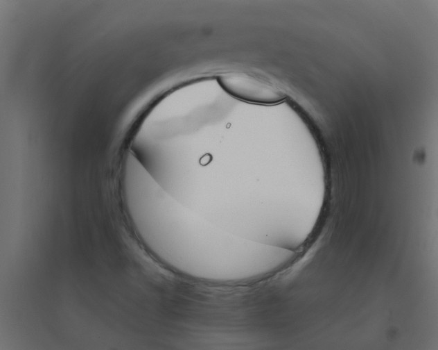 X0000094321502200711241756