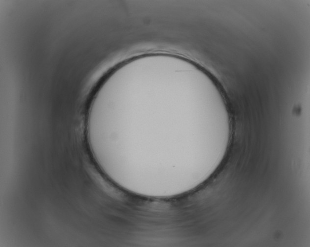 X0000094321503200711241756