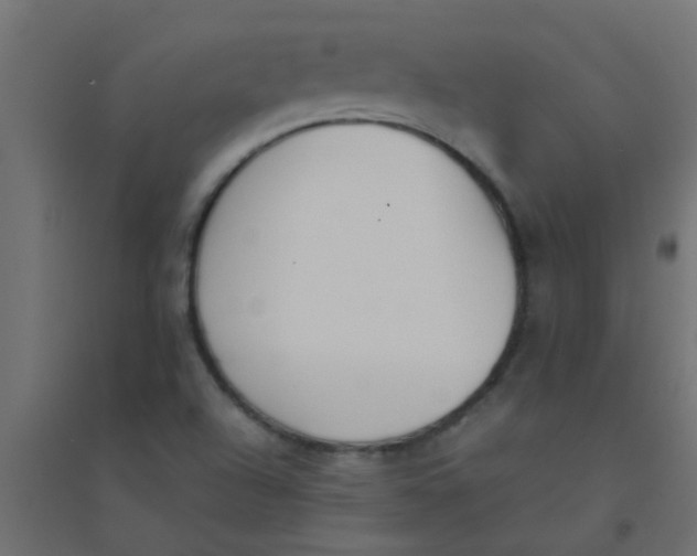 X0000094321504200711241756