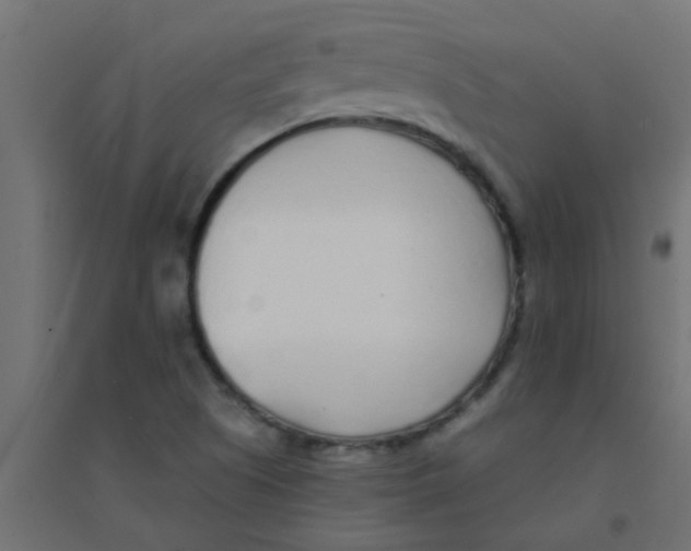 X0000094321505200711241756