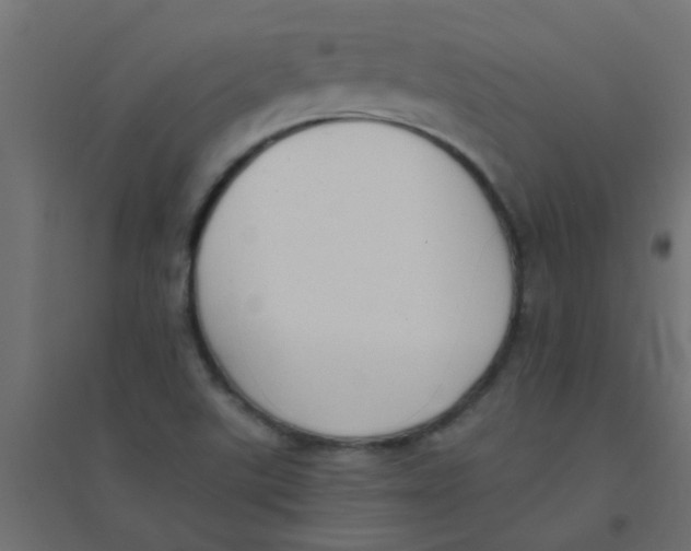 X0000094321507200711241756