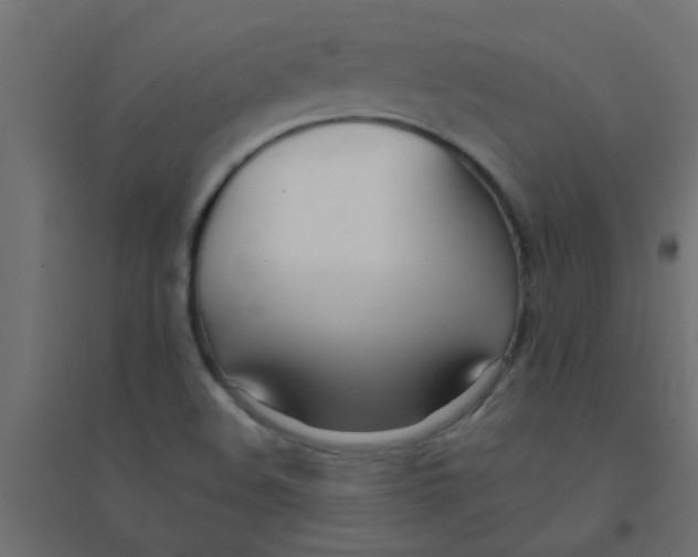 X0000094321508200711241756