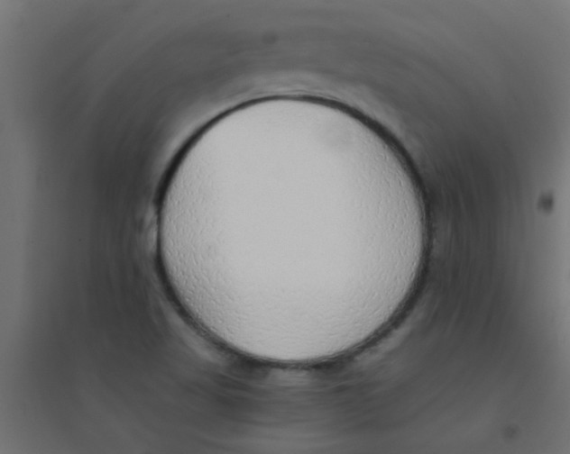 X0000094321509200711241756