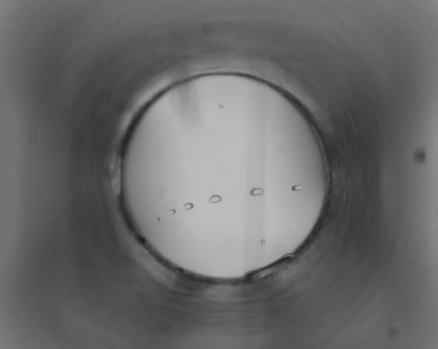 X0000094321510200711241756