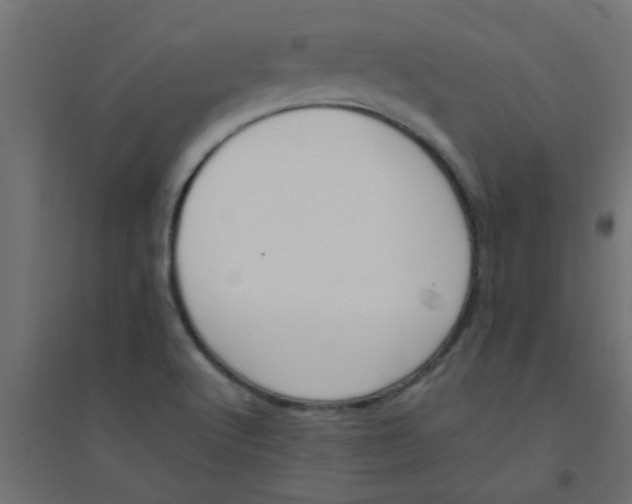 X0000094321512200711241756