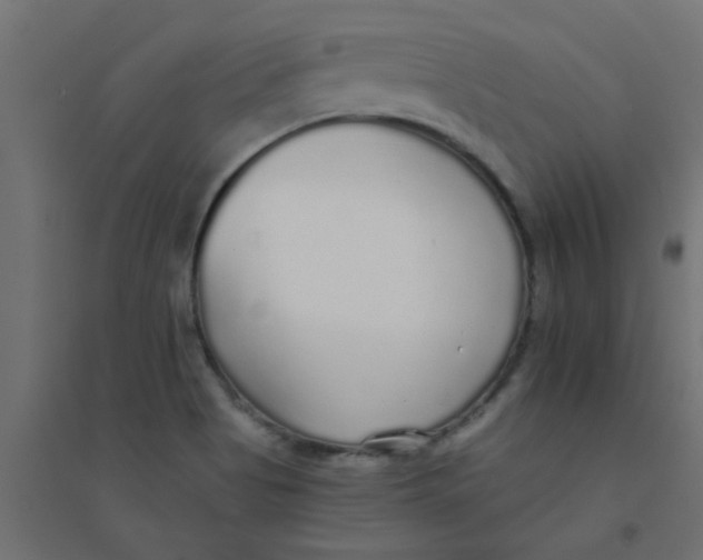 X0000094321513200711241756